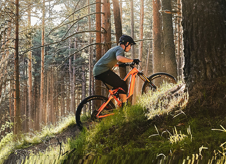 Eine Fahrt mit dem Mountainbike einen Berg hinauf